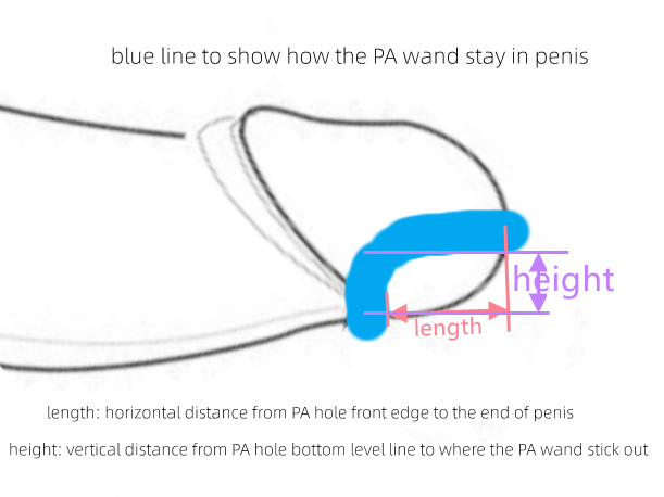 Custom L Shape PA Wand with Locking Ring